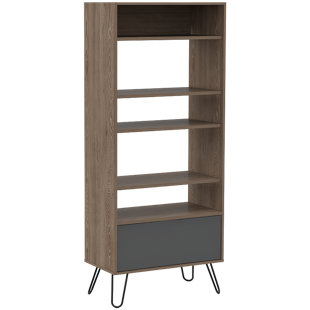 TRENT AUSTIN DESIGN Rocklin Tall wide Bookcase with One Door Storage