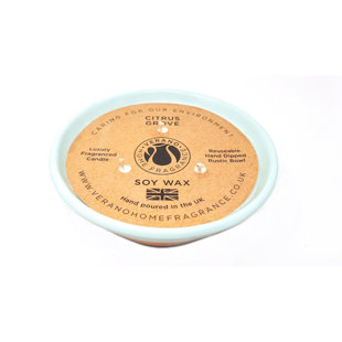 THE PARTY AISLE Citrus Grove Scented Jar Candle