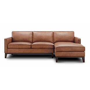 BRAYDEN STUDIO® Zoticus 2 - Piece Leather Sectional