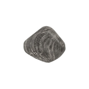 PHILLIPS COLLECTION Wood River Stone Wall Décor