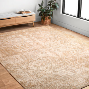 CHARLTON HOME® Erasmo Oriental Rug