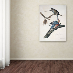 VAULT W ARTWORK Passenger Pigeon by John James Audubon - Print on Canvas