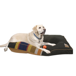 CAROLINA PET COMPANY Badlands National Park Washable Pet Pillow