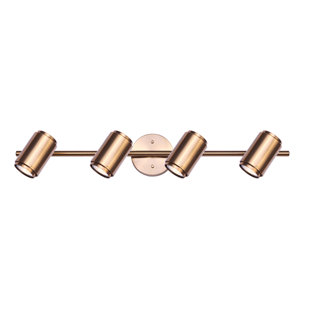 CANARM Shale Gold Adjustable Track Head