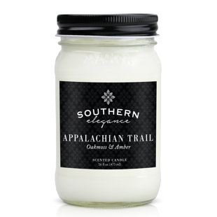SOUTHERN ELEGANCE CANDLE COMPANY Oakmoss And Amber Scented Jar Candle
