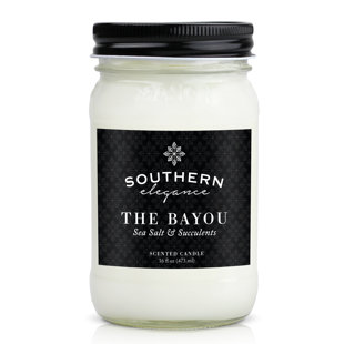 SOUTHERN ELEGANCE CANDLE COMPANY Sea Salt And Succulents Scented Jar Candle