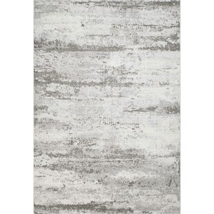 BRAYDEN STUDIO Baldovino Abstract Machine Woven Grey Area Rug