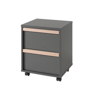 VIPACK London 48.1cm Wide 2 -Drawer Mobile File Cabinet