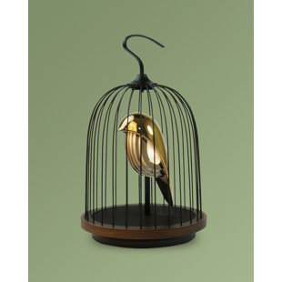 DAQI CONCEPT Jingoo Portable Bluetooth Speaker with Bluetooth