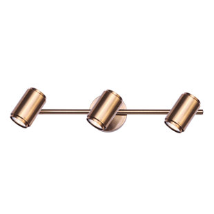 CANARM Shale Gold Adjustable Track Head