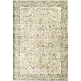 KELLY CLARKSON HOME Noe Machine Woven Oriental Area Rug