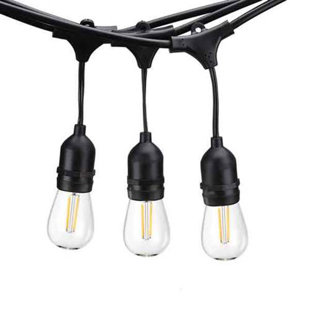 WILLISTON FORGE Abrego 48' Outdoor 24 - Bulb Standard String Light