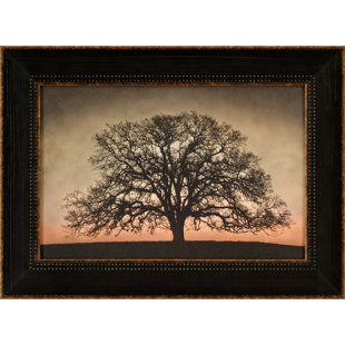 ASHTON WALL DÉCOR LLC Majestic Oak Framed Photographic Print