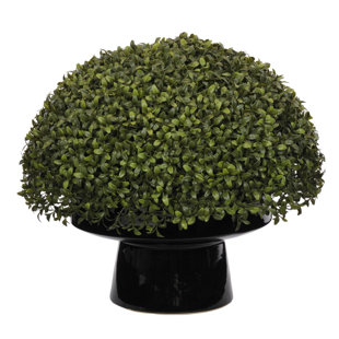 HOUSE OF SILK FLOWERS INC. 18'' Foliage Plant in Ceramic Planter