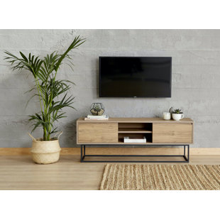 WILLISTON FORGE Gardendale TV Stand for TVs up to 55"