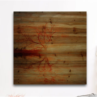 Amazing Sunset On Wood by Parvez Taj Print