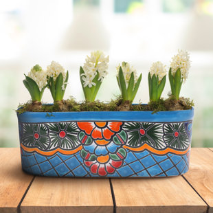 TIERRA FIRME Turquoise 12" Talavera Ceramic Ledge Planter