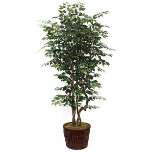 DALMARKO DESIGNS 90'' Faux Ficus Tree in Planter