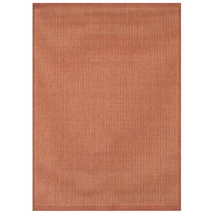 BRAYDEN STUDIO Yosemite Solid Colour Hand Woven Flatweave Area Rug