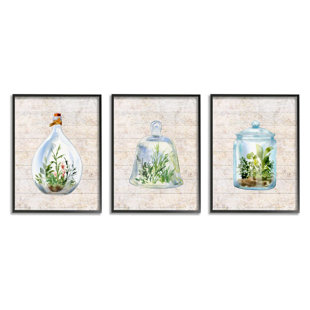 STUPELL INDUSTRIES Enclosed Succulent Jars Framed by Sherri Buck Baldwin Graphic Art