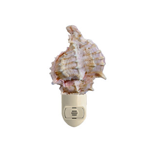 THE SEASHELL COMPANY Murex LED Auto Switch Night Light