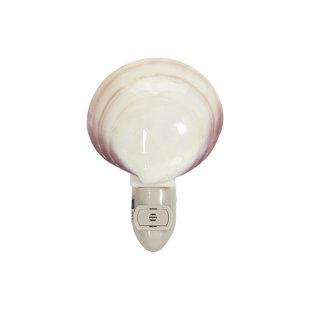 THE SEASHELL COMPANY Polished Tiger Clam Boxed LED Auto Switch Night Light
