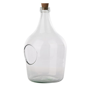 FREEPORT PARK Open Terrarium Clear Bottle