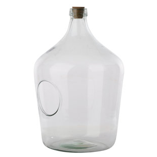 ROSECLIFF HEIGHTS Hermina Glass Terrarium