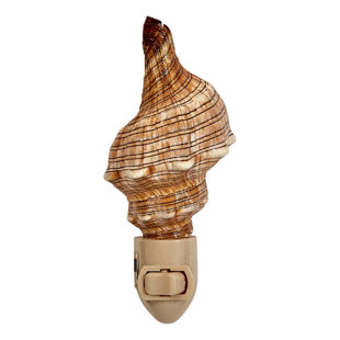 THE SEASHELL COMPANY Fox Shell Boxed LED Night Light