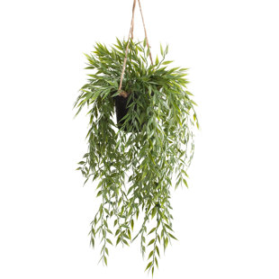 DIE SAISONTRUHE Kunstpflanze Bambus in Topf (Set besteht aus 2)