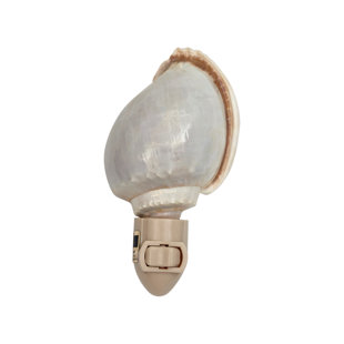 THE SEASHELL COMPANY Bonnet Shell LED Night Light