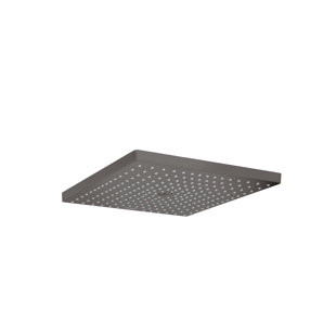 HANSGROHE Raindance E Rain Fix Shower Head