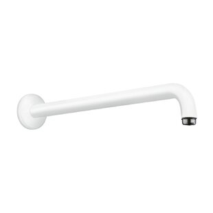 Hansgrohe Raindance 15-Inch Showerarm