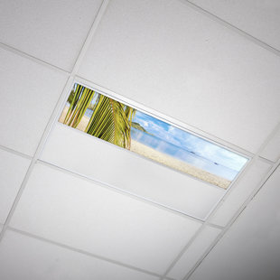 OCTO LIGHTS Beach Rectangular Fixture Component Ceiling Light