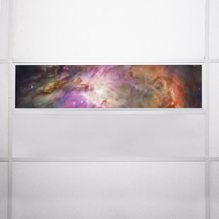 OCTO LIGHTS Astronomy Flexible Decorative Light Cover