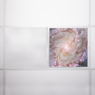 OCTO LIGHTS Astronomy Flexible Decorative Light Cover