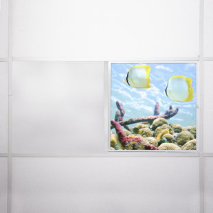 OCTO LIGHTS Ocean Square Fixture Component Ceiling Light