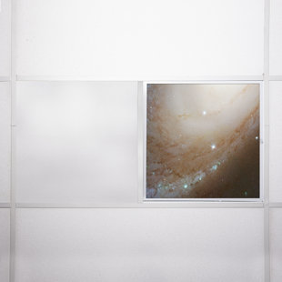 OCTO LIGHTS Astronomy Flexible Decorative Light Cover