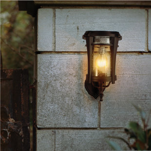 RED BARREL STUDIO® Eligia Seeded Lantern Head