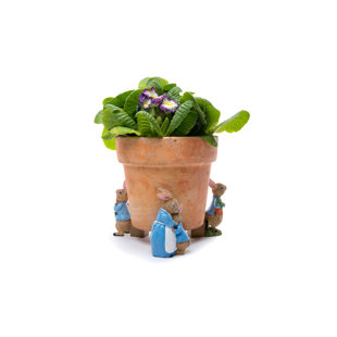 JARDINOPIA Beatrix Potter Peter Rabbit Coloured Planter Feet In Gift Box
