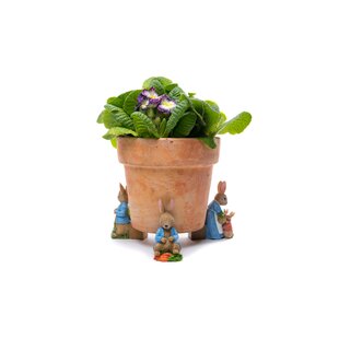 JARDINOPIA Beatrix Potter Peter Rabbit Coloured Planter Feet In Gift Box