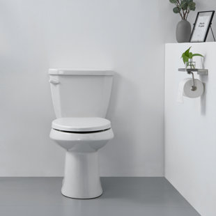 HOMELODY Elongated Toilet Seat and Lid