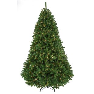 REGENCY INTERNATIONAL 9' Lighted Spruce Christmas Tree