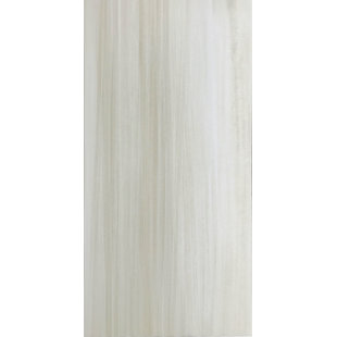 THOMAS AVENUE CERAMICS 12" x 24" Porcelain Wall & Floor Tile