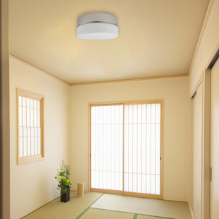 AA WAREHOUSING LED Flush Mount