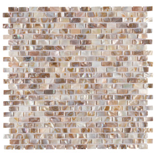 MEROLA TILE Conchella Subway 0.38" x 0.75" Seashell Mosaic Tile