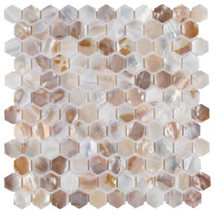 MEROLA TILE Conchella Hex Natural 11-1/2" x 11-5/8" Natural Shell Mosaic Wall Tile