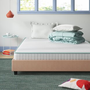 WAYFAIR SLEEP™ Wayfair Sleep 6" Medium Innerspring Mattress