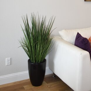 PRIMRUE 48'' Faux Foliage Grass in Cement Pot