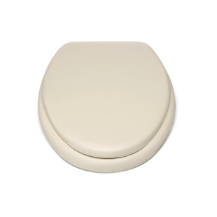 ACHIM IMPORTING CO Fantasia Elongated Toilet Seat and Lid